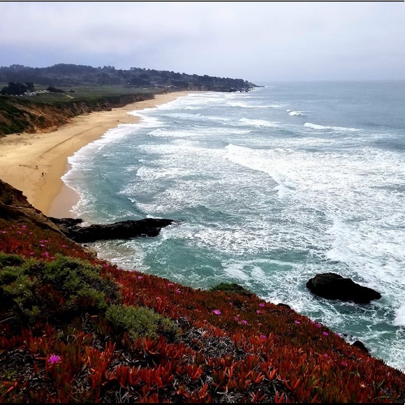 Meet your posher, Morgan! - Picture 4 of 4